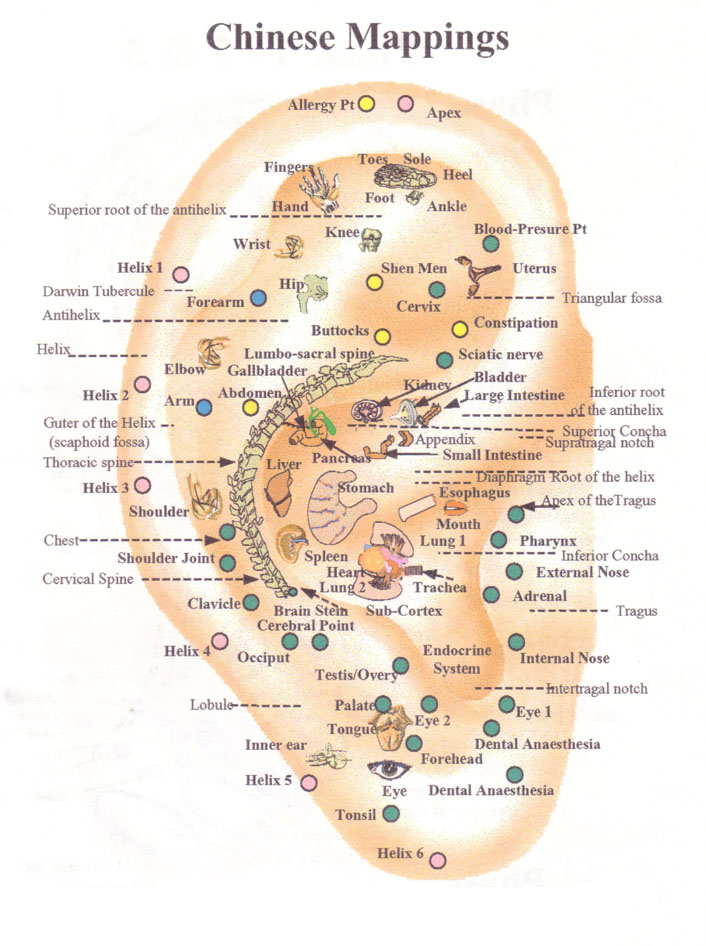 Auricular Therapy